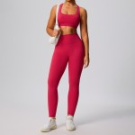 Women's activeswear Yoga Bra + Leggings Set F241-242