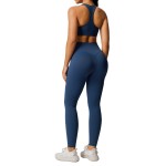 Women's activeswear Yoga Bra + Leggings Set F241-242