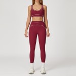 Women's Yoga Suit Fitness Bra + Leggings TZ7028